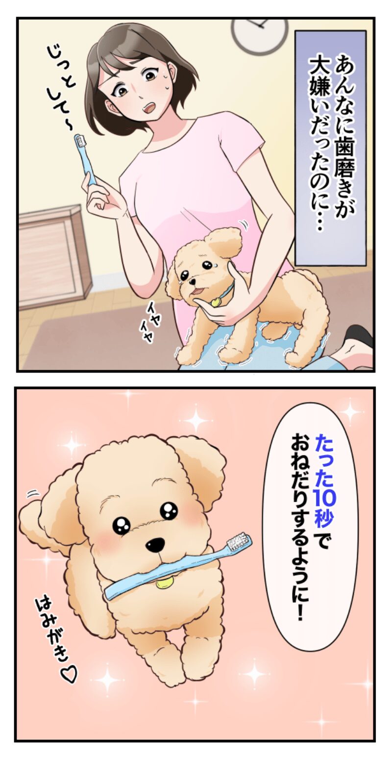 ペット制作事例